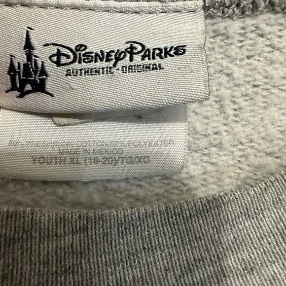 Disney Parks 2015 Sweatshirt YXL 18-20 - Picture 2 of 6